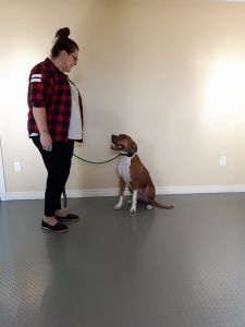 14962599_1496411603720354_8319509998343916920_n