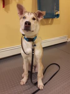 28167031_2049921998369309_8622095205931137800_n