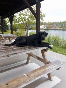 33663755_2161303657231142_1448291228801040384_n