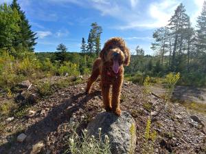 41392616_2322771011084405_7378905495593025536_o