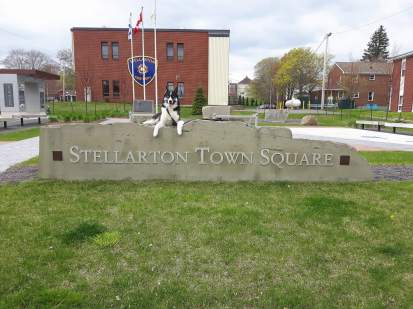 FB_IMG_1539711376486