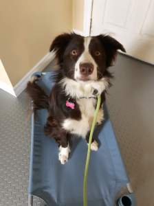 FB_IMG_1539711541754